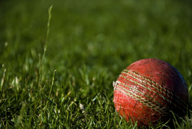 88DD sports cricket markets when enabled